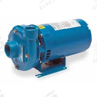 Centrifugal Pump: 1/3 hp, 115/230V AC, 52 ft Max Head, 1 1/4 in , 1 in Intake and Disch (MPN 1BF40312). Key specifications — Brand: GOULDS WATER TECHNOLOGY; Motor Enclosure Type: ODP.
