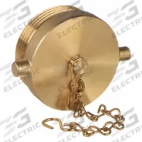 MOON AMERICAN Hydrant Plug: Plug, Brass, 2 1/2 in Compatible Pipe Size, Male, NH, Pin Lug (MPN 661-2521). Key specifications — Thread Type: NH; Tightening Method: Pin Lug.