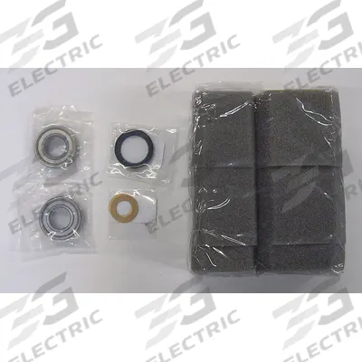 FUJI ELECTRIC Rebuild Kit: RCKIT200, Rebuild Kit - Regenerative Blower Replacement Parts