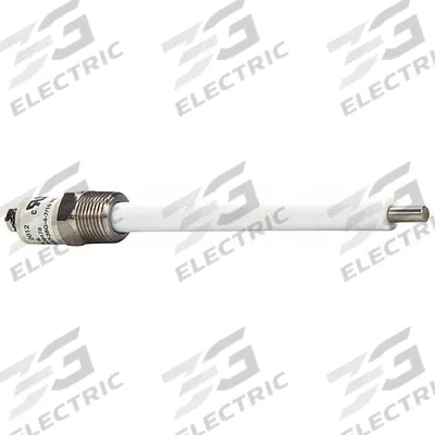 GROEN Water Level Probe Assembly: Z070178 - Replacement Parts for Steamers