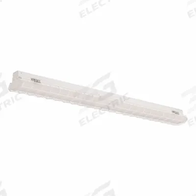 DAYBRITE Wire Guard: For FluxStream Industrial - Hazardous Location Lighting Guards & Protectors