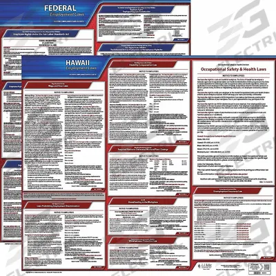 JJ KELLER Labor Law Poster: HI, English, Plastic, 30 in x 24 in - State & Federal Labor Law Poster Sets