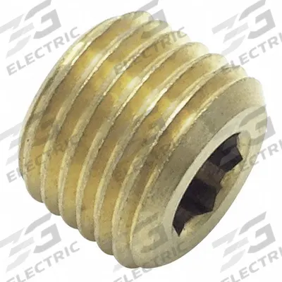 LEGRIS Plug: Cored Plug, C36000 Brass, 3/4 in, BSPT Threaded, 3,626 psi - Threaded Extreme-Pressure Instrumentation Pipe Fittings