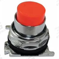 EATON Extended Push Button: 30 mm, Non-Metallic, Momentary (MPN 10250T119). Key specifications — Action: Momentary; Brand: EATON; Series: 10250T; Push Button Material Type: Non-Metallic.