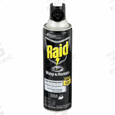 RAID Wasp and Hornet Killer: For Use On Flying and Crawling Insects, Aerosol Spray Can - Insecticides for Flying & Crawling Insects