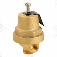 CASH VALVE Cryogenic Pressure Regulator: Brass, NPT x NPT, 3/8 in Inlet Connection Size (MPN A32ZBCSZSZTF01-E3-0050). Key specifications — Brand: CASH VALVE.