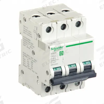 SCHNEIDER Supplementary Protector: 40 A Amps, 10kA at 240V AC, Screw Clamp - D-Curve, 3-Pole UL1077 DIN Rail-Mount Supplementary Protectors