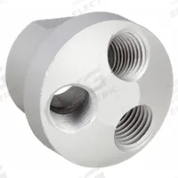 SPEEDAIRE Air Gun Manifold: Aluminum, 1 5/16 in Overall Lg, 3/8 in FNPT, 22YK88. Key specifications — attr75063: 3/8 in FNPT; attr78199: Air Gun Manifold; attr75054: 22YK88; attr75057: SPEEDAIRE; attr75074: Aluminum; attr75085: 1/4 in FNPT.