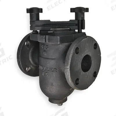 MUELLER STEAM SPECIALTY Basket Strainer: Cast Iron, 0.062 in Screen Size, Single, NPT - Cast Iron Basket Strainers