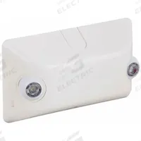 Emergency Light: LED, Dry Location Rated, 1 W Lamp Watt, 120/277V AC, 2 W Emergency Watt, Surface (MPN EV2). Key specifications — Environmental Rating: Dry Location Rated; Remote Capable: No; Adjustable Lamp Heads: Yes; Brand: DUAL-LITE; Standards: UL924; Series: EV; Features: Accessories; Housing Color: White.