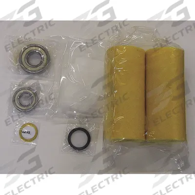 FUJI ELECTRIC Rebuild Kit: RCKIT800, Rebuild Kit - Regenerative Blower Replacement Parts