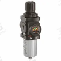 ARO Piggyback: Series 1000 Series, 1/4 in NPT, 47 scfm, 5 micron, 250 psi, 140 psig Max Op Pressure (MPN P39124-620). Key specifications — attr109419: ARO; attr109429: Aluminum; attr109463: Yes; attr109467: Nitrile; attr109468: Series 1000.