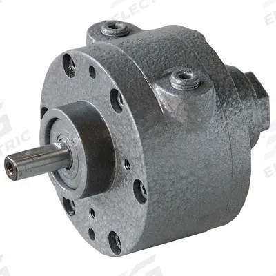 SPEEDAIRE Air Motor: 0.93 hp, 19.5 in-lb Torque, 6,000 RPM, 30 cfm, Hub, 1/4 in NPT - Rotary Vane Air Motors