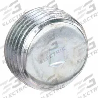 Blank Plugs - Haz Loc: Steel, Electroplated, 1/2 in Trade Size, NPT, Male to Male (MPN PLG-50R). Key specifications — Brand: APPLETON ELECTRIC.