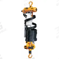 HARRINGTON Air Chain Hoist: Hook Mounted - No Trolley, 250 lb Lifting Capacity, 47 fpm Lift Speed (MPN AH250M-6.5). Key specifications — Air Inlet Type: NPT; Brand: HARRINGTON; Lifting Hook Type: Swivel Hook with Safety Latch; Mount Type: Hook Mounted - No Trolley.