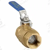 APPROVED VENDOR Manual Two-Way Ball Valve: 1 in, Straight, FNPT x FNPT, 600 psi Max. Pressure (CWP) (MPN 32H973). Key specifications — Brand: APPROVED VENDOR; Handle: Locking Lever.
