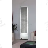 EMPIRE Recessed-Mount Gas Wall Heater: 50,000 BtuH Heating Capacity Input, Standing Pilot, Match Lit (MPN GWT50WLP). Key specifications — Wall Type: Double; Brand: EMPIRE; Ignition Type/Ignition Power Source: Standing Pilot, Match Lit; Overall Dimensions - H x W x D: 66-1/8 in x 16 in x 6 in.