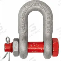 CROSBY D-Shackle: Chain Shackle, 3,000 lb Working Load Limit, 3/4 in Wd Between Eyes, Carbon Steel (MPN 1019774). Key specifications — Body Color: Silver; Brand: CROSBY.