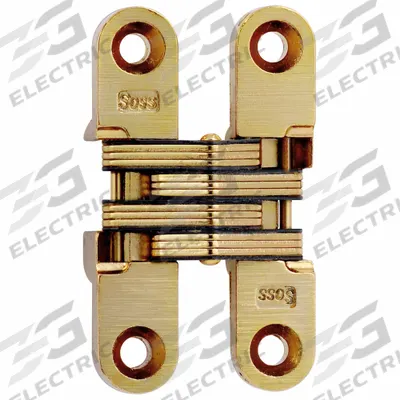 SOSS Concealed Hinge: Brass, 2 3/8 in Leaf Ht, 1/2 in Leaf Wd - Full Mortise-Mount Concealed Hinges