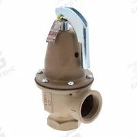 WATTS Boiler Pressure Relief Valve: FNPTF x FNPTF, 1 1/4 in x 1 1/2 in, Iron, 8 3/4 in Overall Ht (MPN F383484). Key specifications — Brand: WATTS.