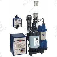 PRO SERIES PUMPS Sump/Battery Back-Up System: 1/3 hp, 115V AC, 30 ft Max. Head (Primary Pump), Rulon (MPN PS-C33). Key specifications — Rated Voltage (Secondary Pump): 12V DC; Brand: PRO SERIES PUMPS; Series: Pro Series Pumps; Primary Pump Rated Voltage: 115V AC; Switch (Primary Pump): Piggyback Dual Micro-Reed Float.