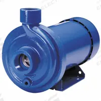 Centrifugal Pump: 3 hp, 208-230/460V AC, 142 ft Max Head, 1 1/4 in , 1 in Intake and Disch, TEFC (MPN 100MC1H5A0). Key specifications — Brand: GOULDS WATER TECHNOLOGY; Motor Enclosure Type: TEFC.