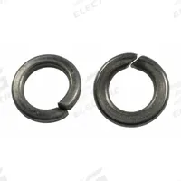 DAYTON Lock Washer: Mfr Part # PP60257G, 2 PK. Key specifications — Product Type: Lockwasher,SS; Manufacturer Part Number: PP60257G.