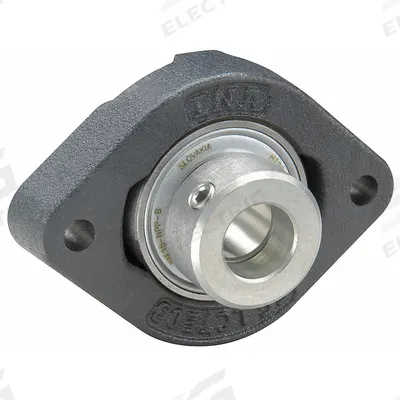 INA 2 Bolt Flange Bearing: Radial Ball, 17 mm Bore, Cast Iron, Eccentric Collar - General Purpose Flange-Mount Ball Bearings