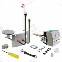RHEEM Thermostat/Burner Assembly Retrofit Kit: Natural Gas, SP20170B
