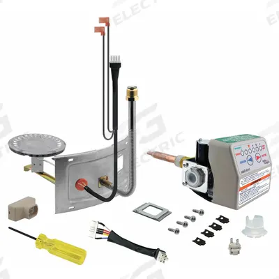 RHEEM Thermostat/Burner Assembly Retrofit Kit: Natural Gas, SP20170B - Plumbing