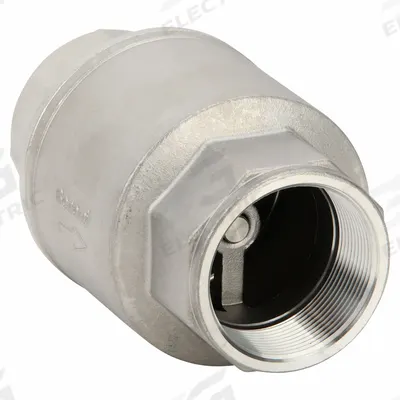 BONOMI Check Valve: Swing, Inline Valve Body, 2 in Pipe Size, FNPT x FNPT, 316 Stainless Steel - 316 Stainless Steel Inline Disc Check Valves