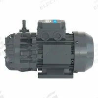 DEKKER VACUUM TECHNOLOGIES, INC. Vacuum Pump: 0.15 kW, 3 Phase, 230/460V AC, 90 torr Max Vacuum (MPN DVS5 230-460/3/60). Key specifications — attr51477: DVS5 230-460/3/60; attr51480: DEKKER VACUUM TECHNOLOGIES, INC.; attr51504: BSPT; attr51550: 230/460V AC; attr51554: BSPT; attr51559: 3.