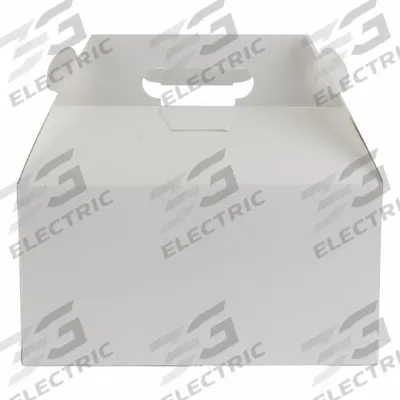 APPROVED VENDOR Disposable Carry-Out Food Container: 5 in Ht, 5 in Wd, 9 1/2 in Dp - Recloseable Paperboard Boxes