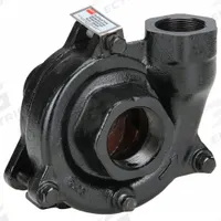 Pedestal Pump: Sized for 3 hp, 74 ft Max Ft of Head, 5/8 in Shaft Out Dia (MPN 2ZWX9). Key specifications — Brand: DAYTON.