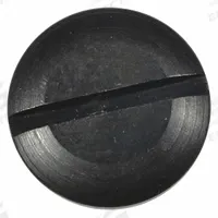 SPEEDAIRE Valve Cap: Mfr Part # TTR4320306G, Valve Cap, Compatible with Grainger Part # 3AAJ1. Key specifications — attr948908: TTR4320306G; attr948910: 3AAJ1; attr948916: Valve Cap.