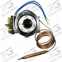Electric Thermostat: 60°F to 250°F Temp Range, 60 to 250 Dial, 60 in Capillary, 120V AC/277V AC (MPN 5000-811). Key specifications — Input Voltage: 277V AC; Manufacturer Part Number: 5000-811; Product Type: Electric Thermostat; Brand: ROBERTSHAW.