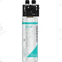 EVERPURE Water Filtration System: 0.5 micron, 1.5 gpm, Push Connect, 12 1/4 in Overall Ht, 1,000 gal (MPN EV929800-75). Key specifications — Brand: EVERPURE; Reduces: PFOA/PFOS; Filter Media: Carbon.