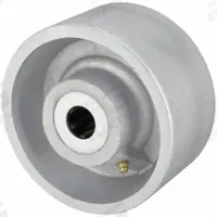APPROVED VENDOR Caster Wheel: 6 in Wheel Dia., 3 in Wheel Wd, Iron, 6,000 lb Load Rating, Roller (MPN P-D-060X030/100R). Key specifications — Includes Spanner Bushing: Not Included; Wheel/Tread Material: Iron; Wheel/Tread Color: Silver; Brand: APPROVED VENDOR.