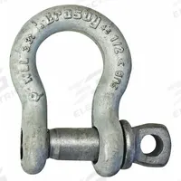 CROSBY Anchor Shackle: Anchor Shackle, 4,000 lb Working Load Limit, 21/32 in Wd Between Eyes, Silver (MPN 1017450). Key specifications — Body Color: Silver; Brand: CROSBY.