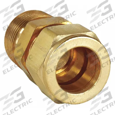 PARKER Compression Fitting Adapter: 3/4 in OD x 3/4 in pipe Size, Compression x MNPT - Double-Ferrule Brass Compression Fittings