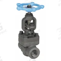 SHARPE Globe Valve: For Steam Media, Carbon Steel, Z-Body, 3/8 in Pipe Size, FNPT x FNPT, Female (MPN 4371006360). Key specifications — Brand: SHARPE; Stem: Non-Rising.