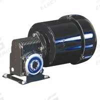 DAYTON AC Gearmotor: Right Angle, Hollow, 3-Phase, TEFC, 55 RPM, 130 in-lb Max Torque, 0.25 hp Input (MPN 6VEP6). Key specifications — attr798124: Yes; attr85339: DAYTON; attr874657: 0.75 A.