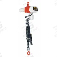 HARRINGTON Electric Chain Hoist: H2 - Light Duty, 120V AC, Hook Mounted - No Trolley, 2 Speeds (MPN ED220DA-6). Key specifications — Brand: HARRINGTON; Includes: Safety Latch Hook; Operating Voltage: 120V AC; Headroom Clearance: 37 in.
