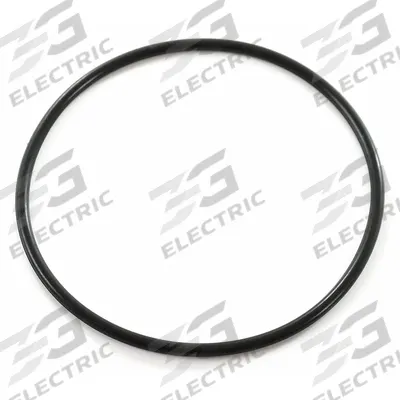 DAYTON O-ring: FANG 18C - Replacement Parts for Floor Cleaning Machines