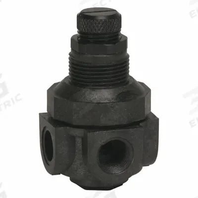 Watts Pressure Regulator: FNPT x FNPT, 1/4 in Pipe Size, Thermoplastic, 0 psi to 125 psi - Standard Capacity Water Pressure Regulators