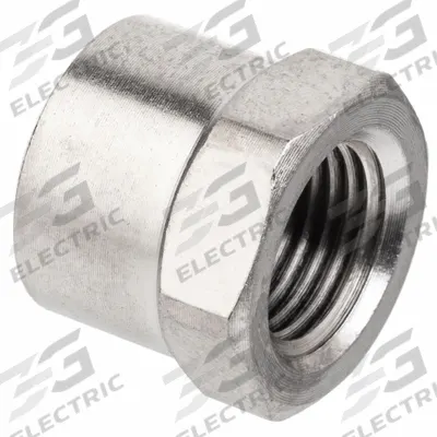 APPROVED VENDOR Cap: Hex Drive Cap, 3/8 in, NPTF Threaded, Class 1000, 1,000 psi @ 72°F - Nickel-Plated Threaded High-Pressure Pipe Fittings