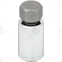 WESTWARD Socket Bit: 1/2 in Drive Size, Hex Tip, 9/16 in Tip Size, 2 1/4 in Overall Lg, Fixed Insert (MPN 54TM81). Key specifications — attr1204765: Fixed Insert; attr1204767: WESTWARD.