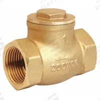 APPROVED VENDOR Swing Check Valve: Swing, Inline Valve Body, 1 1/4 in Pipe Size, FNPT x FNPT, Brass (MPN 10F325). Key specifications — Brand: APPROVED VENDOR.
