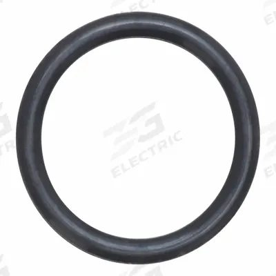 FINISH THOMPSON Inner Tube O-Ring: Inner Tube O-Ring, 107299 - Seals & Gaskets