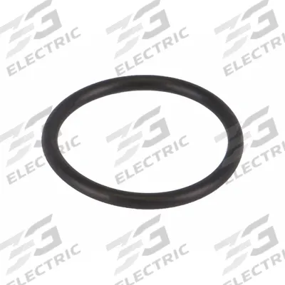 BANJO Gasket: Y Strainer Gasket, EPDM, 1/8 in Ht - Replacement Y Strainer Seals